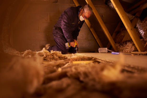Best Insulation Maintenance and Repair in , ID